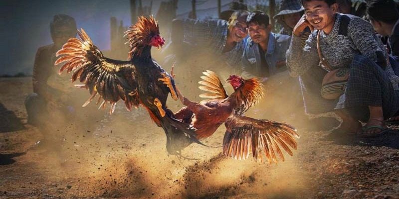 Quy định thời gian của trận đấu thường diễn ra 15p